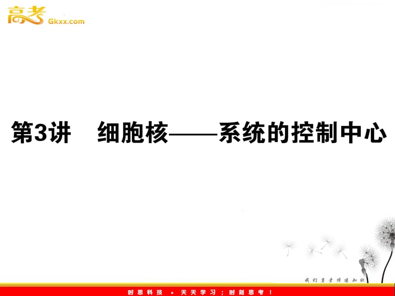 高考生物一轮复习课件：《细胞核——系统的控制中心》（人教版必修1）_第2页