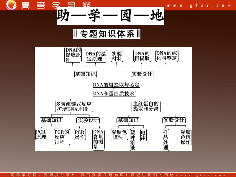 高二生物质疑解惑课件：专题5《DNA和蛋质技术》专题整合（人教版选修I）_第3页