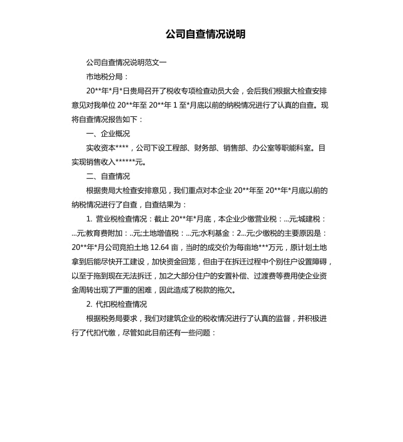 公司自查情况说明.docx_第1页