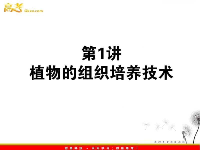 高考生物一轮复习课件：《植物的组织培养技术》（人教版选修1）_第2页