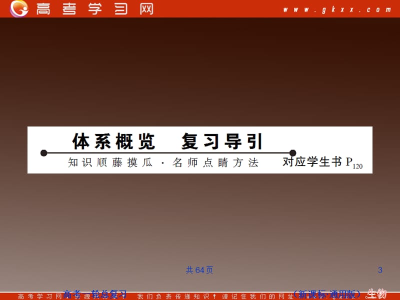 高考生物一轮复习变式训练：《现代生物进化理论》课件（人教版必修二）_第3页