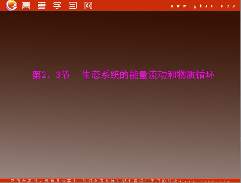 高考生物抢分技巧复习课件：生态系统的能量流动和物质循环_第2页