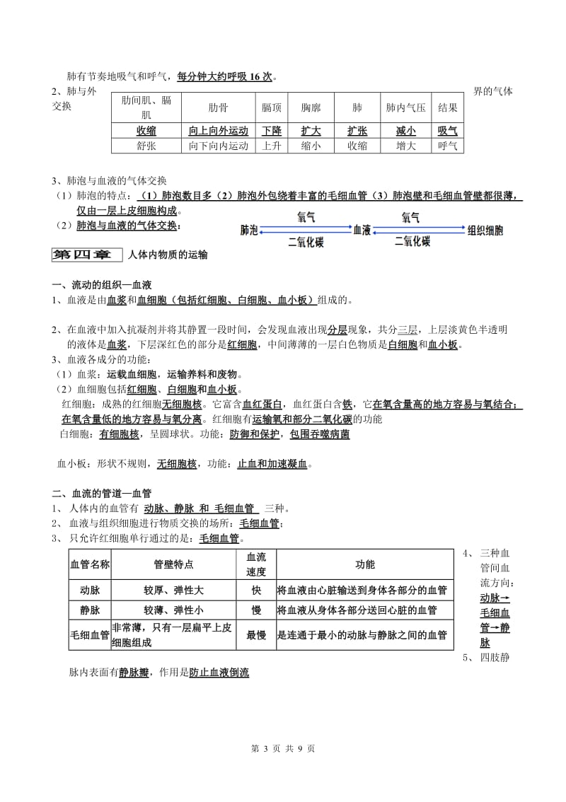 人教版七年级下册生物复习提纲_第3页