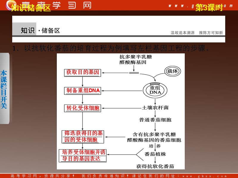 高二生物（苏教版选修3）课堂学案配套课件：第一章第3课时《基因工程的应用》_第3页