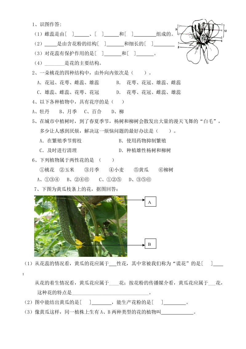 济南版八年级上册生物第一章--绿色开花植物的一生复习知识点_第2页