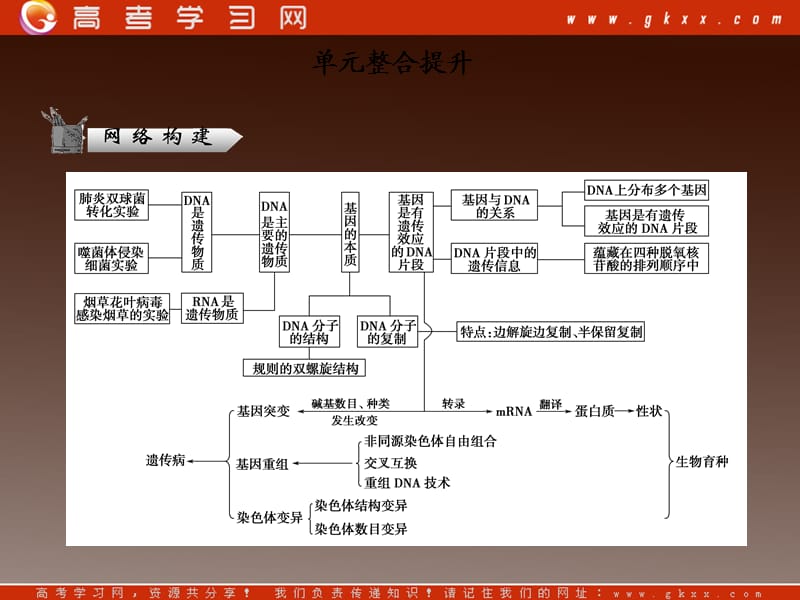 高考二轮复习苏教版生物必修2 2-3单元整合提升_第2页