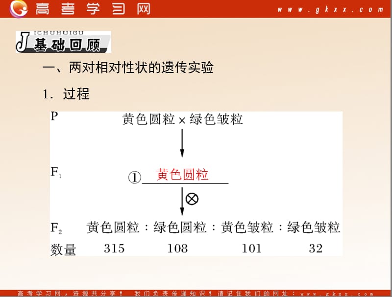 高考生物一轮复习课件：必修2 第1章 第2节 孟德尔的豌豆杂交实验（二）_第3页