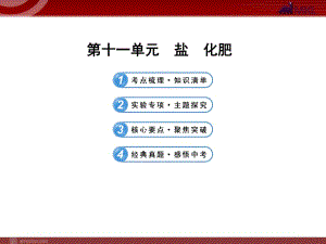 【化學課件】（人教版）2013年中考化學專題復(fù)習課件：第11單元 鹽和化肥