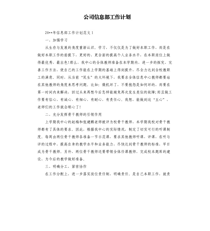 公司信息部工作计划.docx_第1页