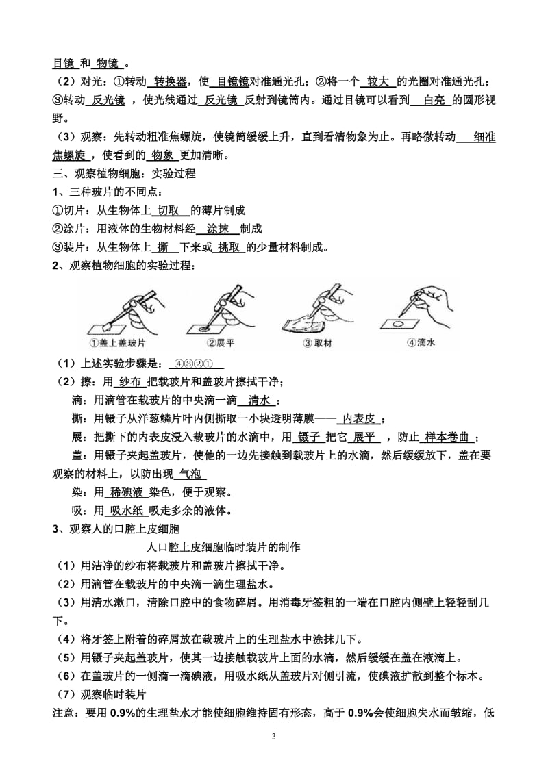 七年级上册生物期中复习知识点_第3页