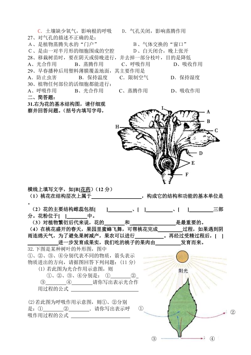 七年级上册生物第三单元测试题_第3页