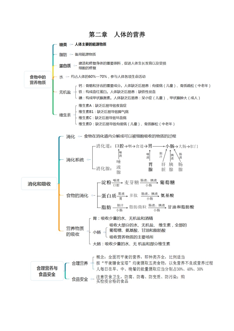 人教版七年级生物下册考点(思维导图版)_第2页