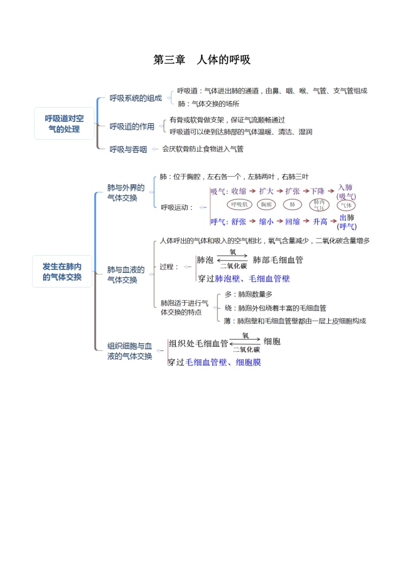 人教版七年级生物下册考点(思维导图版)_第3页