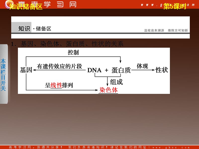 高二生物（苏教版选修3）课堂学案配套课件：第一章第5课时《蛋白质工程》_第3页