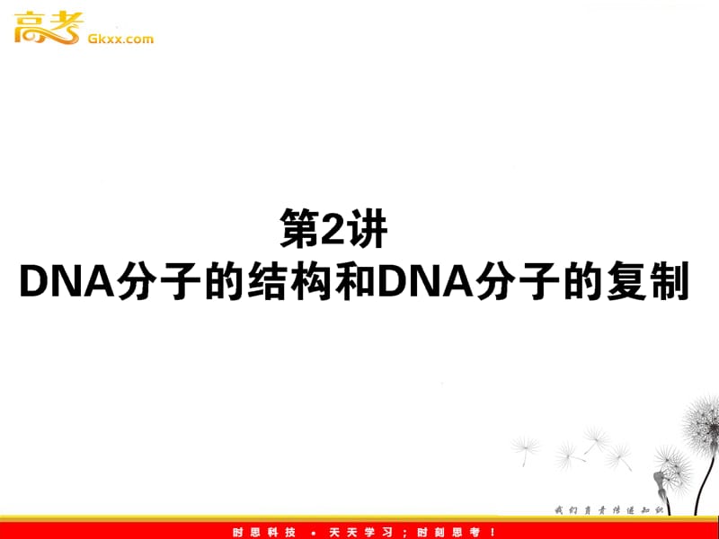 高考生物一轮复习课件：《DNA分子的结构和DNA分子的复制》（人教版必修2）_第2页