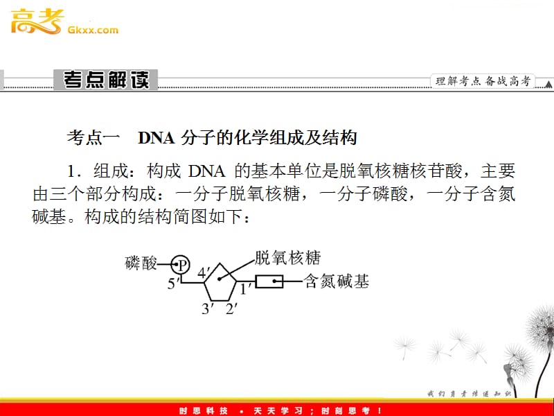 高考生物一轮复习课件：《DNA分子的结构和DNA分子的复制》（人教版必修2）_第3页