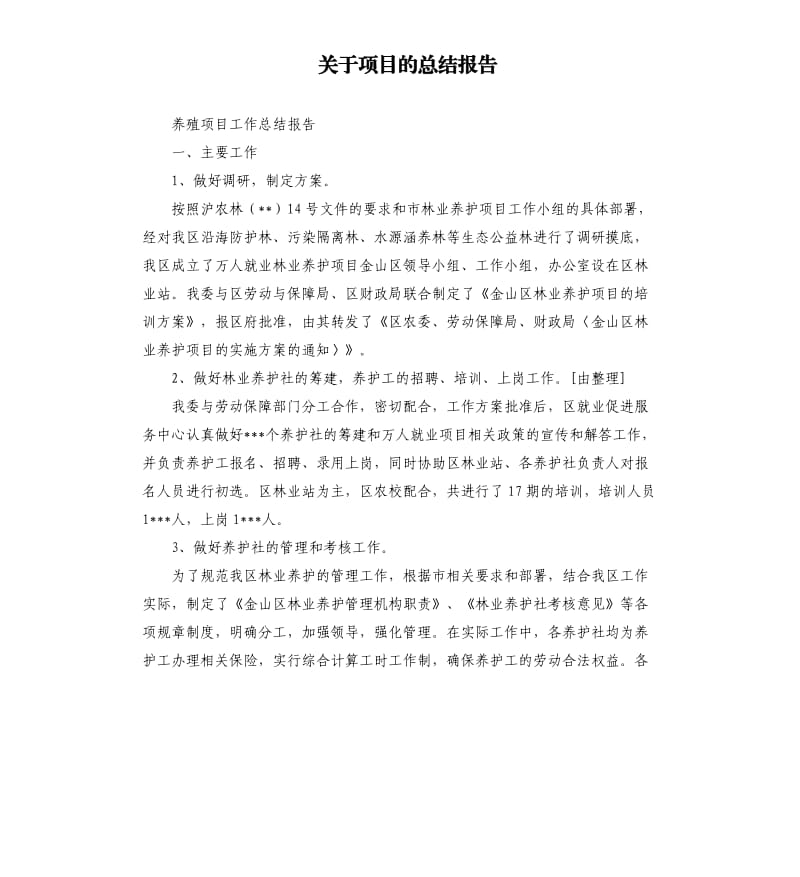 关于项目的总结报告.docx_第1页