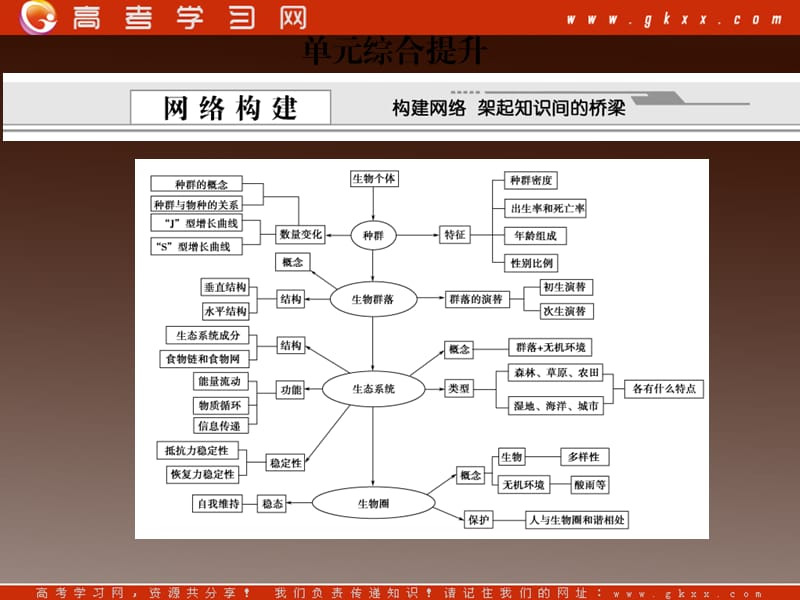 高考生物必修3总复习课件13_第2页