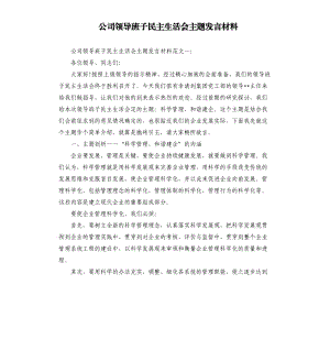 公司領導班子民主生活會主題發(fā)言材料.docx