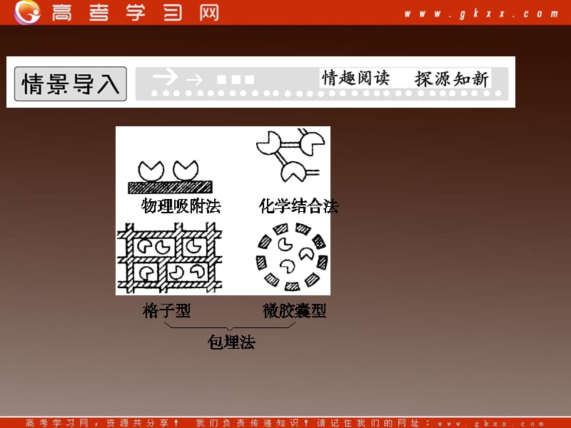 高二生物质疑解惑课件：4-3《酵母细胞的固定化》（人教版选修I）_第3页