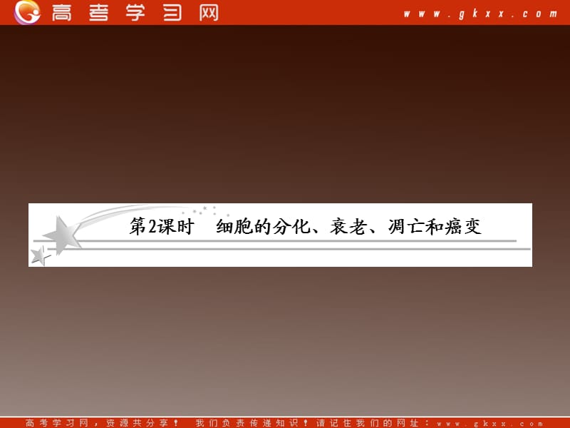 高考二轮复习苏教版生物必修1 1-5-2《细胞的分化、衰老、凋亡和癌变》_第2页