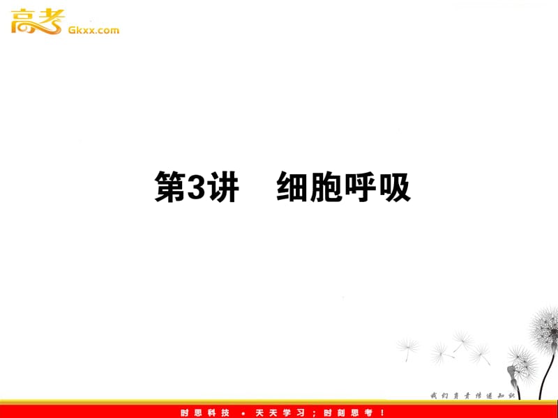 高考生物一轮复习课件：《细胞呼吸》（人教版必修1）_第2页