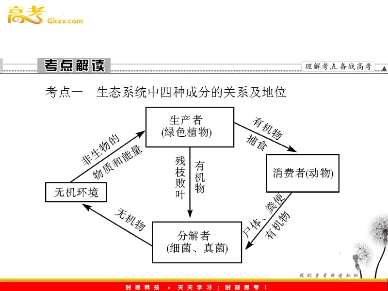 高考生物一轮复习课件：《生态系统的结构及其稳定性》（人教版必修3）_第3页