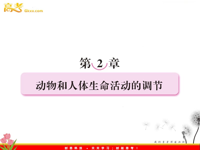 高考生物一轮复习精选课件：必修三 2.1.《通过神经系统的调节》（新人教版）_第2页