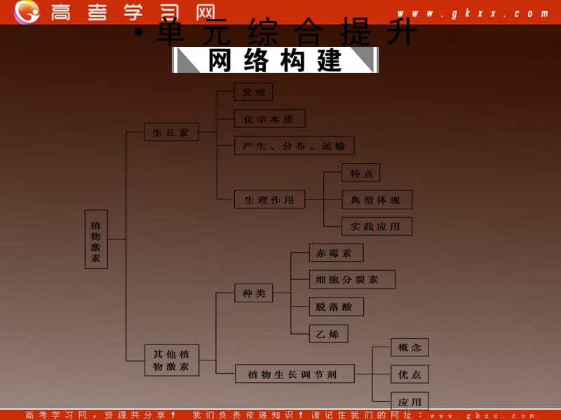 高考生物一轮复习课件：必修3 第3章植物的激素调节单元综合提升_第2页