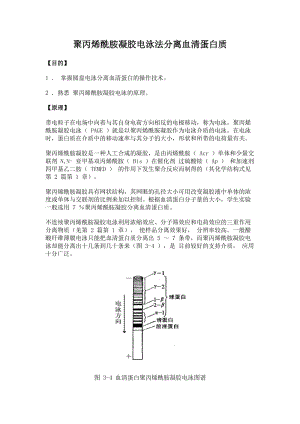 05-生物化學(xué)實(shí)驗(yàn)--聚丙烯酰胺凝膠電泳法分離血清蛋白質(zhì)