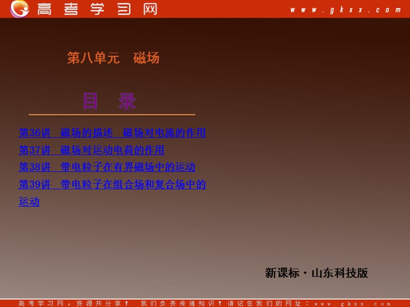 高考物理复习方案一轮复习课件：第8单元-磁场_第3页