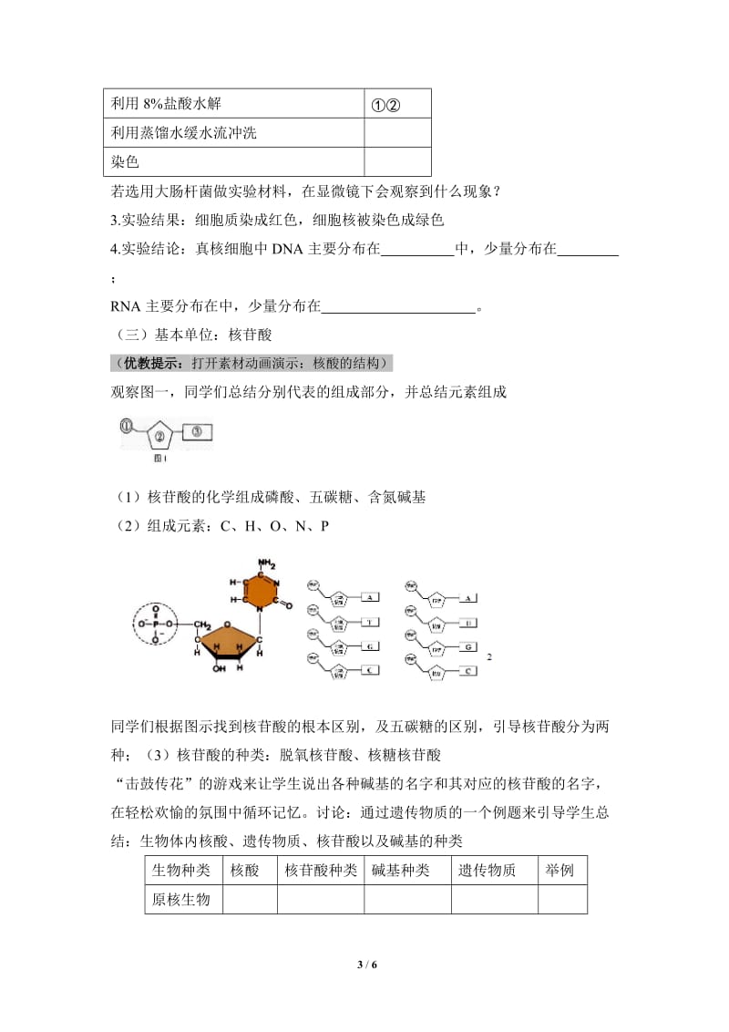 《遗传信息的携带者——核酸》教案_第3页