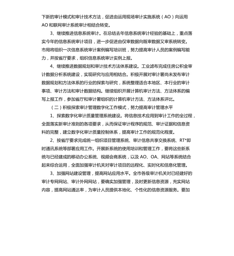 审计局审计信息化工作计划.docx_第2页