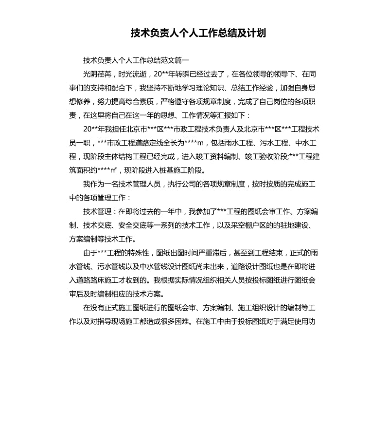 技术负责人个人工作总结及计划.docx_第1页