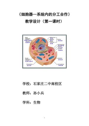 《細胞器-系統(tǒng)內(nèi)的分工合作》教學設(shè)計