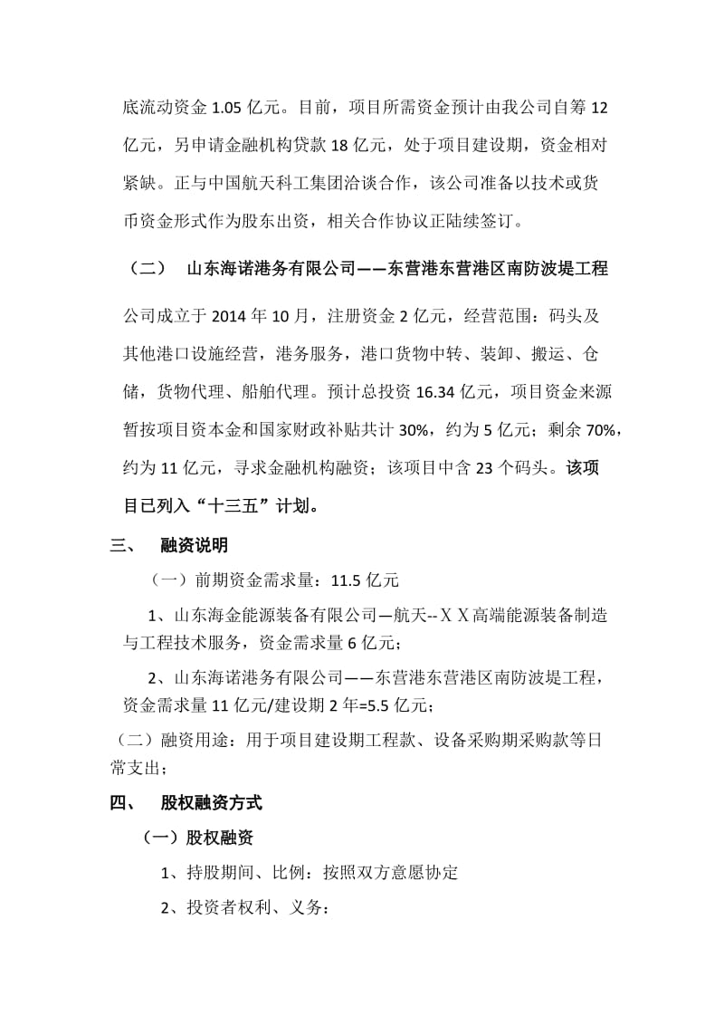 集团公司项目融资计划书_第2页