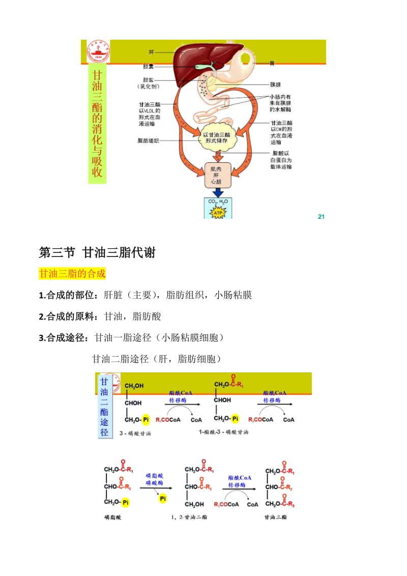 生物化学脂质代谢知识点总结_第2页