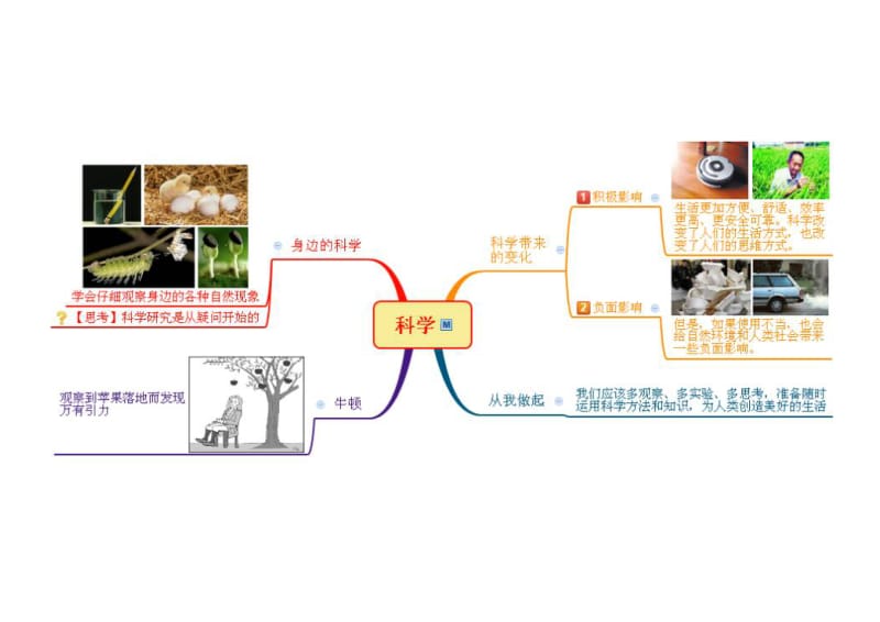 七上科学第1-3章思维导图_第2页