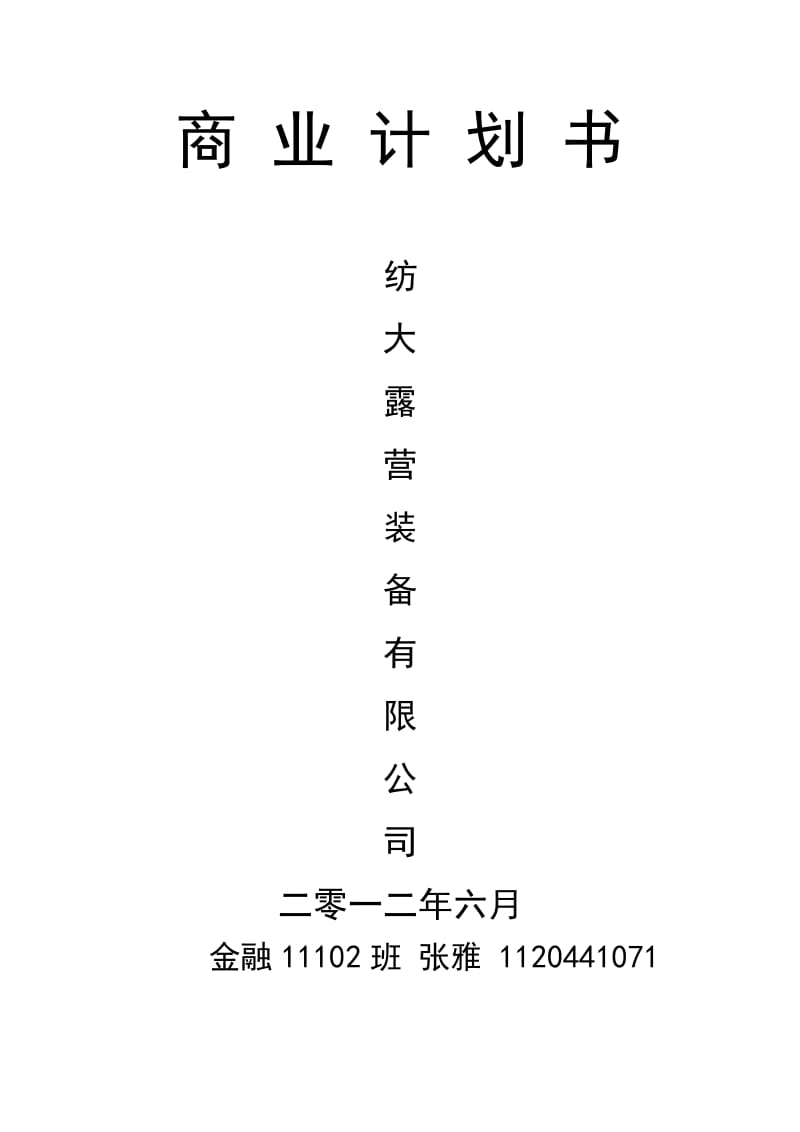 露营-商业计划书_第1页