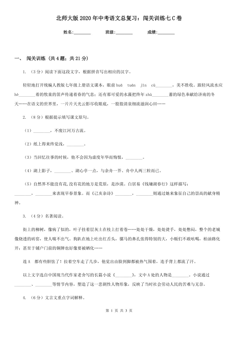 北师大版2020年中考语文总复习：闯关训练七C卷_第1页