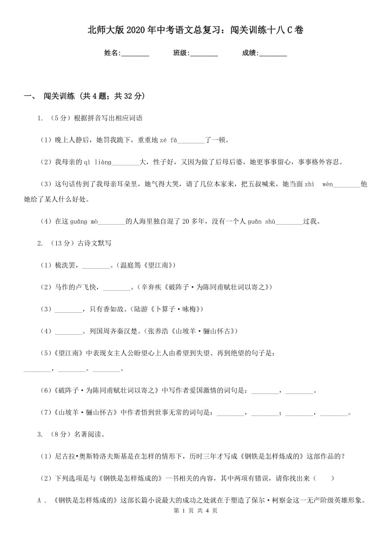 北师大版2020年中考语文总复习：闯关训练十八C卷_第1页