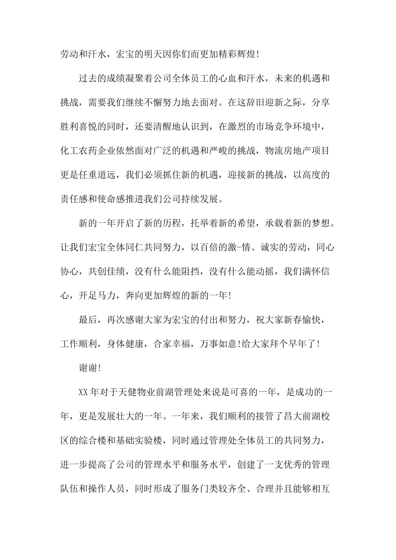 公司年终总结发言稿模板集锦6篇_第2页