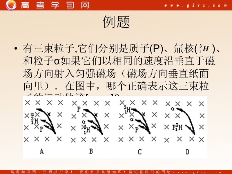 高中物理《带电粒子在匀强磁场中的运动》课件6（20张PPT）（新人教版选修3-1）_第3页