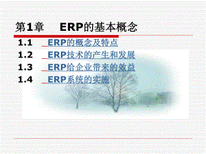 《ERP的基本概念》PPT课件