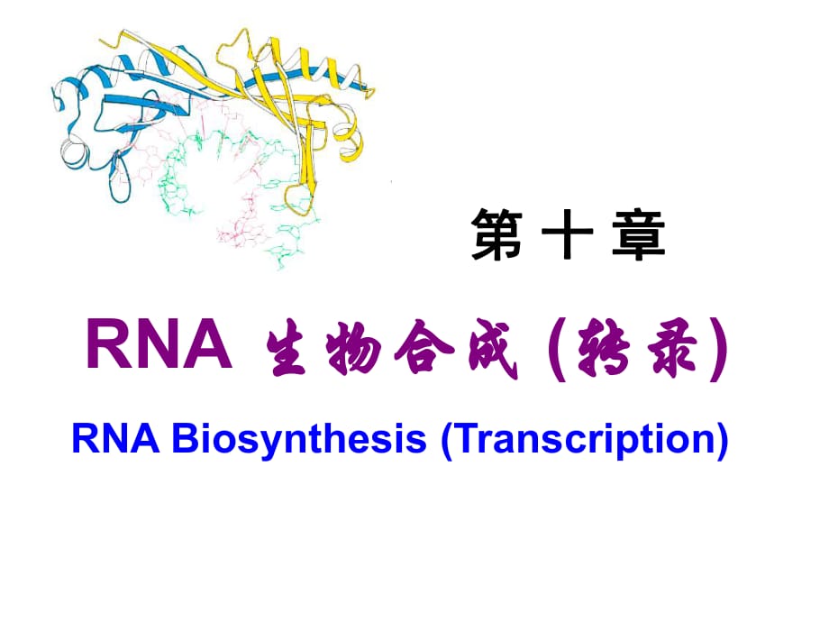 《RNA轉(zhuǎn)錄》PPT課件_第1頁