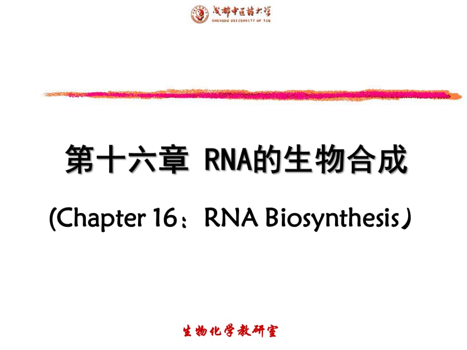 《RNA的生物合成》課件_第1頁