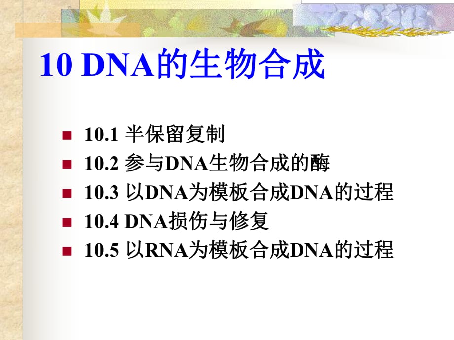 《DNA的生物合成》PPT課件_第1頁