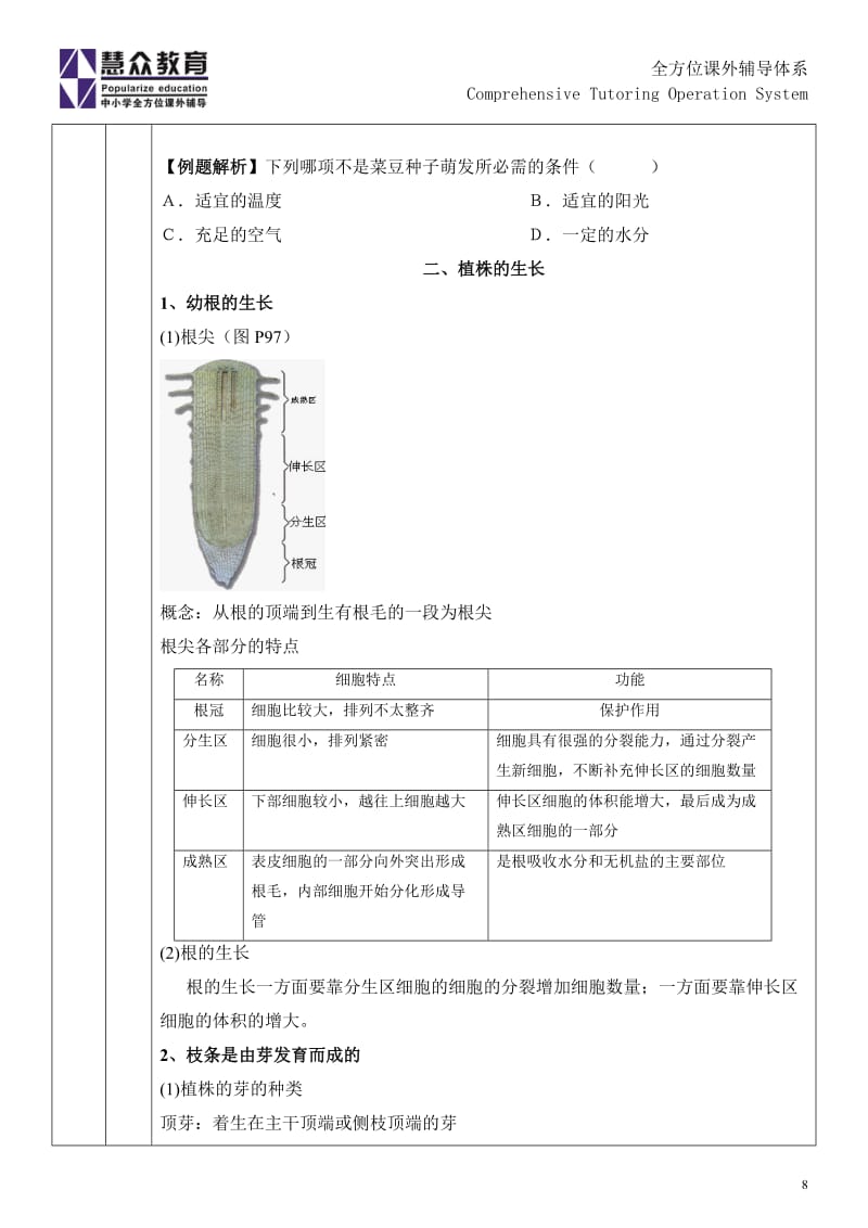 教案-被子植物的一生_第3页