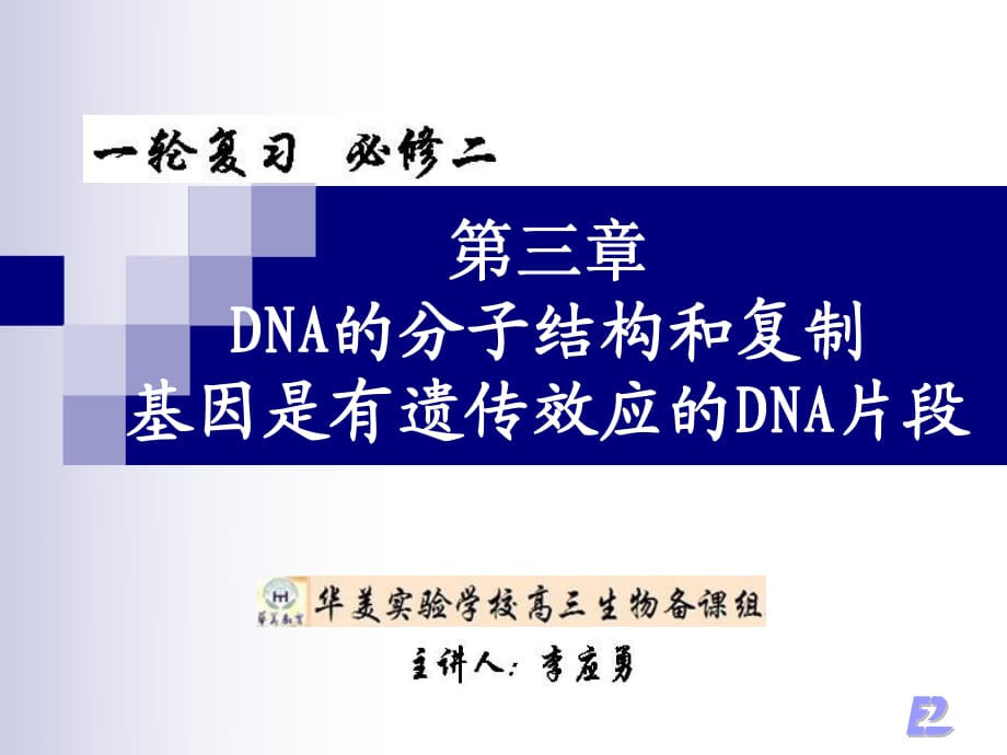 DNA分子結構和復制及基因的本質_第1頁