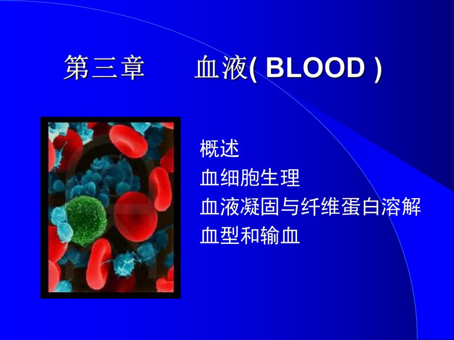 《cc血液系统》PPT课件_第1页